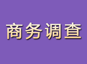 红古商务调查